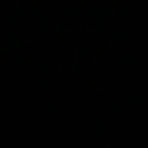 Meet your Posher, Zenobia